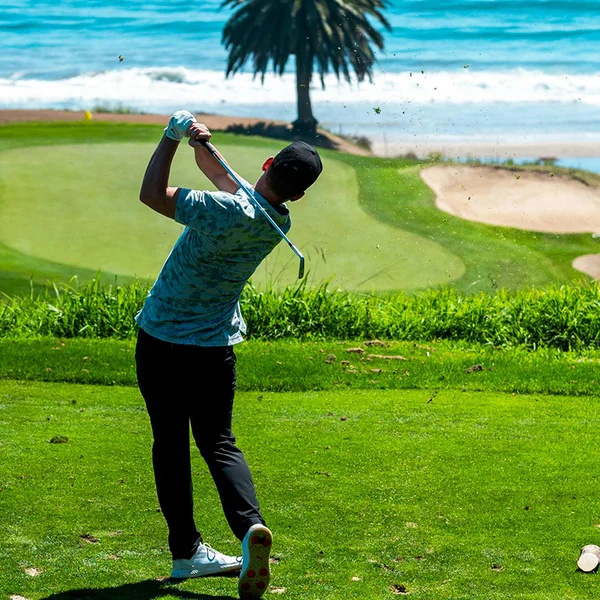 Avatar de David Tremblay